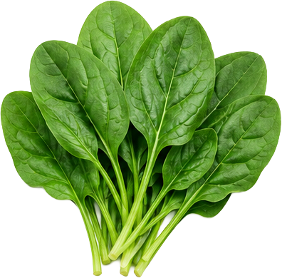 Spinach