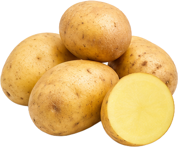 Potato