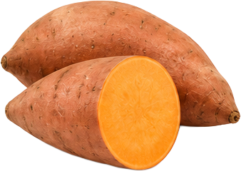 Sweet Potato