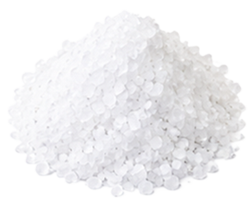Salt 