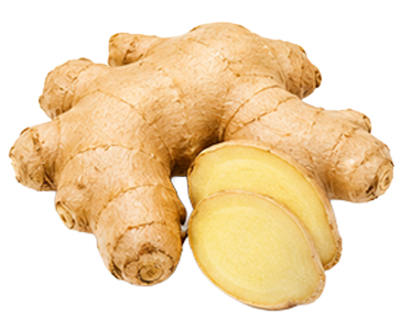  Ginger