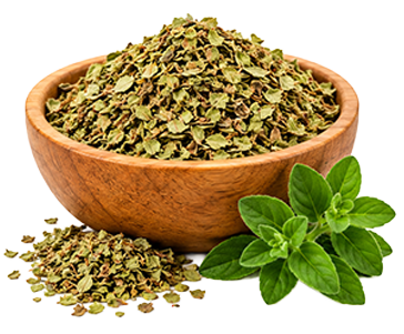 Dried Oregano 